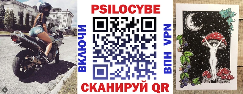 Галлюциногенные грибы Psilocybe Болохово