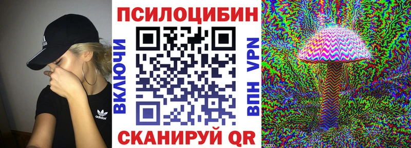 Псилоцибиновые грибы Magic Shrooms  Купить закладки  Болохово 